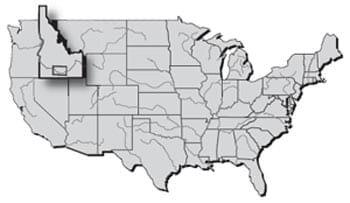 The US rainbow trout industry: challenges and opportunities - Image 1