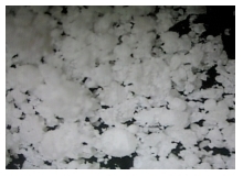 Rumen Bypass Lysine for use in Dairy Nutrition - Image 3