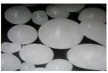 Rumen Bypass Lysine for use in Dairy Nutrition - Image 1