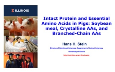 Research Shows Pigs Benefit from Soy-Protein Diet - Image 1