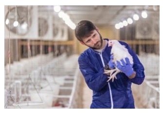 Georgia Precision Poultry Farming Conference - May 4, 2021 (Virtual) - Image 1