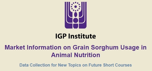 IGP Institute Survey: Market Information on Grain Sorghum Usage in Animal Nutrition - Image 1