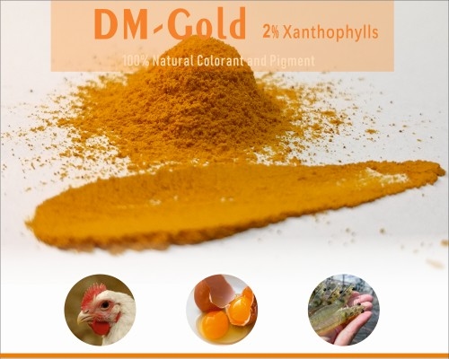 AMINO ACIDS MARKET - Image 11
