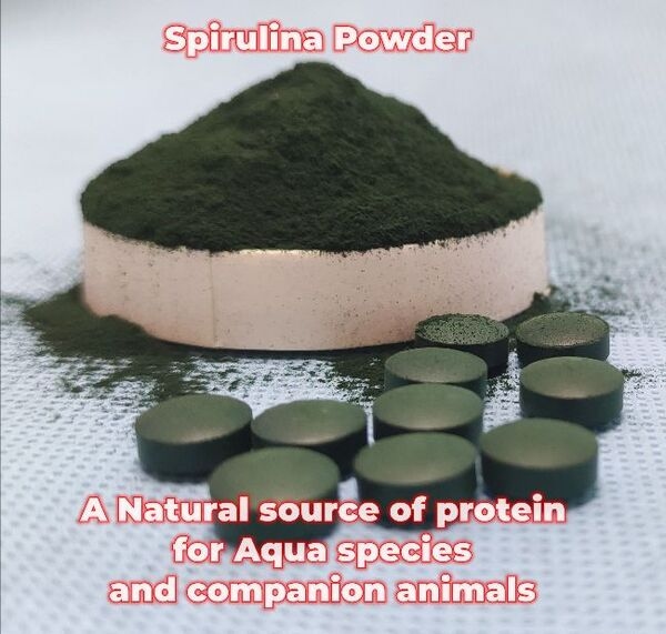 AMINO ACIDS MARKET - Image 10
