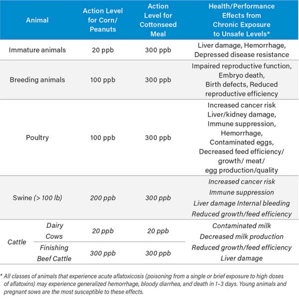 Changing Feed Industry Imperatives Call For A Closer Look At On-Site Aflatoxin Test Methods - Image 2