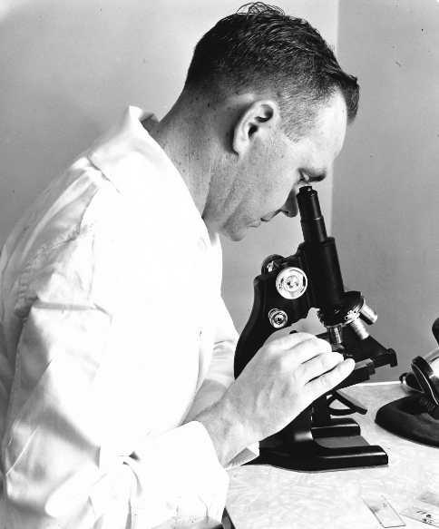 Hy-Line International Celebrates 90 Years - Image 4