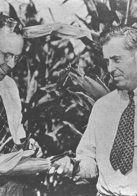 Hy-Line International Celebrates 90 Years - Image 2