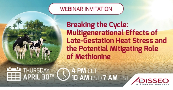 Breaking the Cycle: Multigenerational Effects of Late-Gestation Heat Stress and the Potential Mitigating Role of Methionine - Image 1