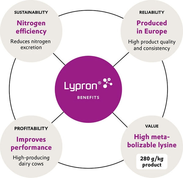 Evonik launches Lypron® to complete its amino acid balancing concept for ruminants - Image 1