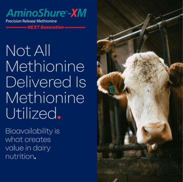 Not All Methionine Delivered Is Methionine Utilized. - Image 1