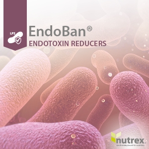Effect of a feed additive (EndoBan) on broiler performance - Image 1