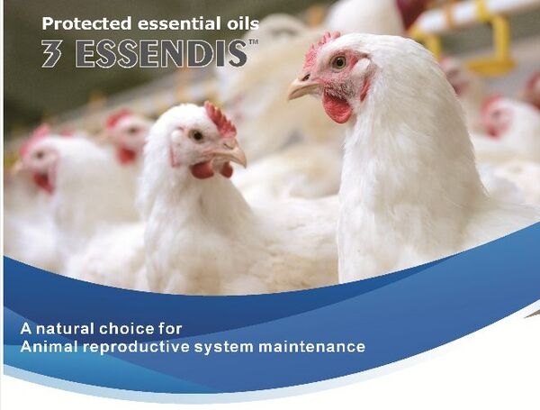 Veterinary raw materials market - Image 7