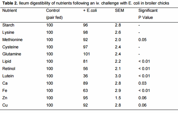 Relationships between immunity and nutrition in birds - Image 2