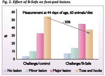 Understanding and managing poultry gut microflora safely - Image 2