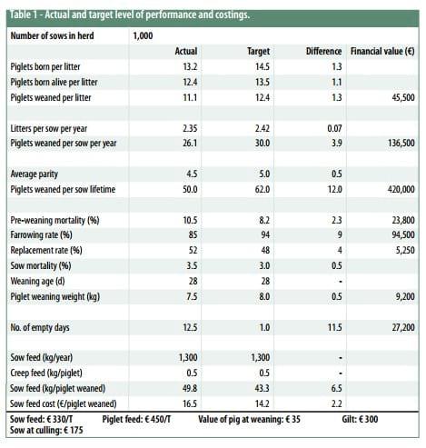 The cost of lost opportunities in sow production - Image 1