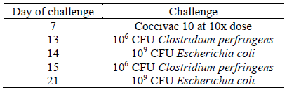 Challenge protocol.