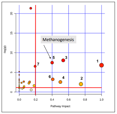 Figure 6. Analysis of the metabolic pathways modified in low-CH4 emitters. Discriminating metabolites identified showed 7 impacted metabolic pathways: 1) Valine, leucine and isoleucine biosynthesis 2) Taurine and hypotaurine metabolism 3) Glycine, serine and threonine metabolism 4) Phenylalanine, tyrosine and tryptophan biosynthesis 5) Methane metabolism 6) Glyoxylate and dicarboxylate metabolism 7) Arginine and proline metabolism. The plot was built based on the pathway enrichment analysis (node colors) and on the pathway impact values resulting from the pathway topology analysis (node size). Adapted from Yanibada et al. (2020)