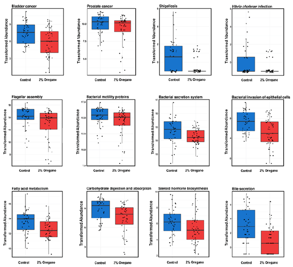 Figure 1 - Functional analysis of changed microbiota genetic potential due to influence of oregano performed in PICRUSt.