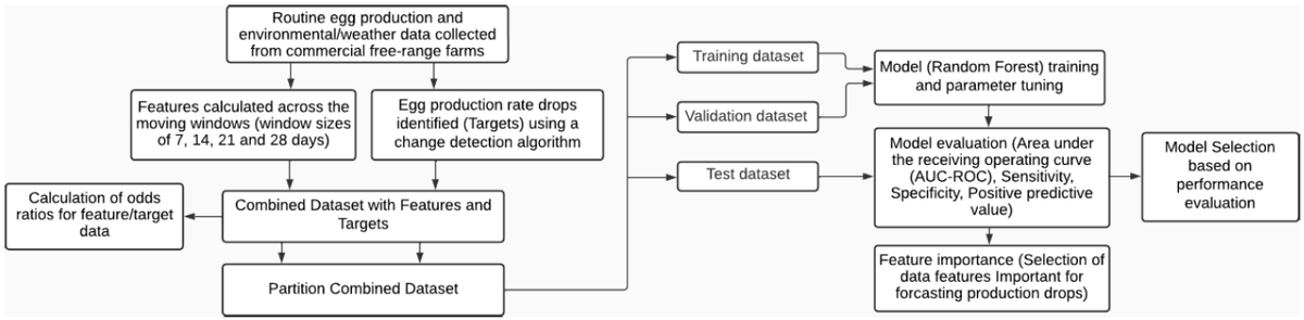 2023AUSTRALIANSPPS - PREDICTING EGG PRODUCTION LOSSES USING PEAK ANALYSIS AND A RANDOM FOREST MODEL - Image 1