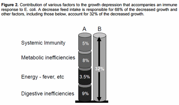 Relationships between immunity and nutrition in birds - Image 4