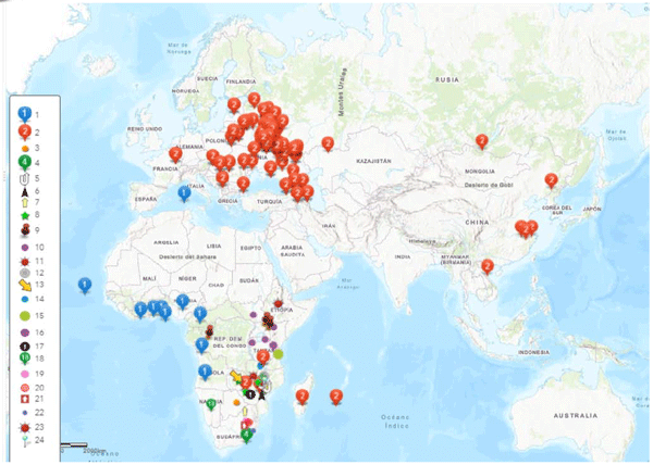 Distribution of the ASFV genotypes. 