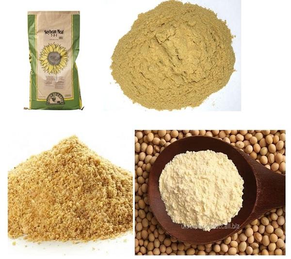 Vegetable proteins can replace animal proteins - Image 2