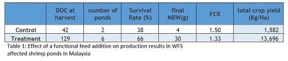 Promising results from field work in Se Asia on preventing White Feces Syndrome in white shrimp using a functional feed additive - Image 3