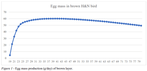 AUSTRALIA - PATH TO THE 100 WEEK AGE LAYER HEN IN CAGE FREE SYSTEMS - Image 3