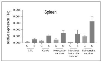 Figure 3 - Quantification of the immune cell response when stimulated by specific antigen. 