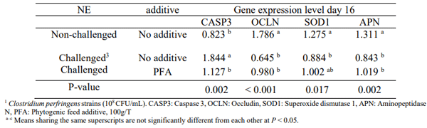 Table 2 - Effect of phytogenic additive on the jejunal expression level of broilers subject to subclinical necrotic enteritis challenge on day 16