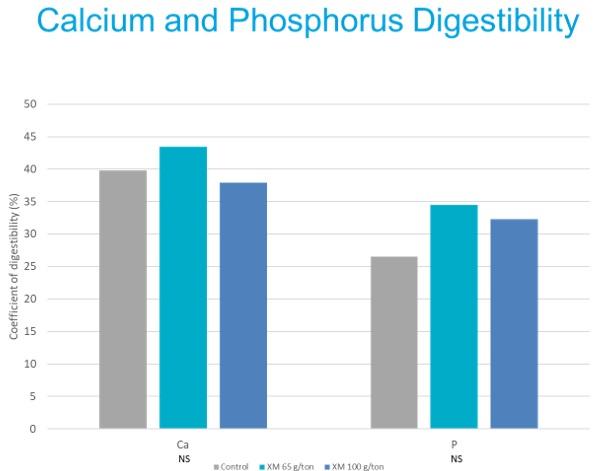 Evaluation of the benefits using xylanase on nutrient digestibility in pigs. - Image 5