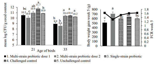 Figure 2 - Effect of different treatments on the counts of E. coli in the cecum of broiler chickens (CFU/g) (left) and on broiler performance (right). Error bars show the standard error of the mean. Bars with different superscripts indicate significant differences (P < 0.05).