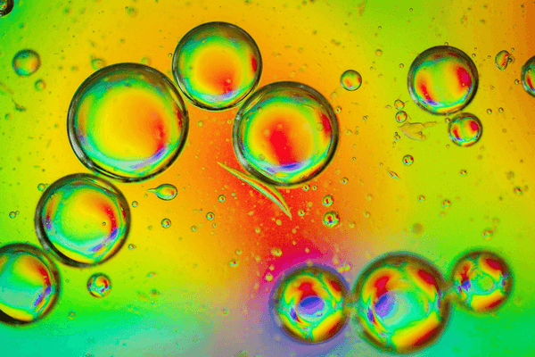 The emulsifiers present in PlusProtect Digestive© boost fat digestion by 1.9 folds - Image 1