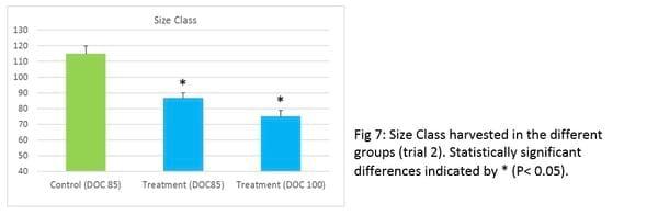 Promising results from field work in Se Asia on preventing White Feces Syndrome in white shrimp using a functional feed additive - Image 8