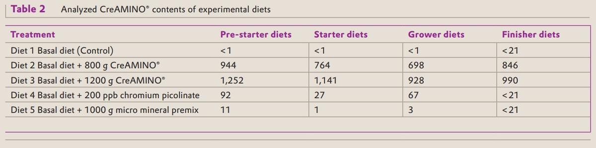 CreAMINO® supplementation improves growth performance and lean meat yield of pigs - Image 2