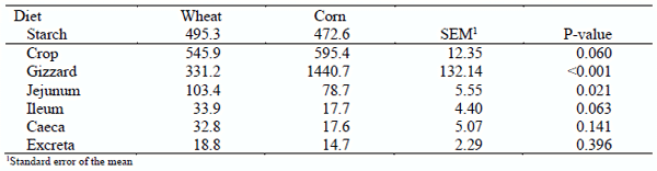 Undigested starch (g/kg dry matter intake) along the gastrointestinal tract of broilers in response to feeding diets based on either corn or wheat.