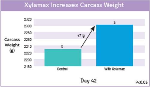 Evaluation of live performance and carcass characteristics of broiler chickens fed corn-soy diets supplemented with phytase and xylanase - Image 4