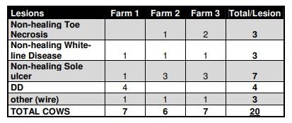 Toe necrosis and non-healing hoof lesions in commercial dairy herds in Argentina - Image 1