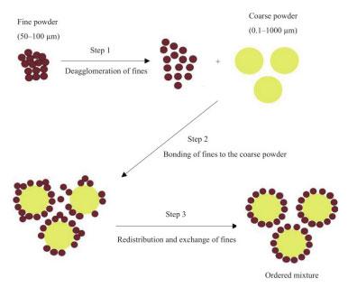 Figure 1. Various steps in the process of ordered mixing (Saharan et al., 2008). 
