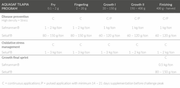 Boosting tilapia performance - Image 6