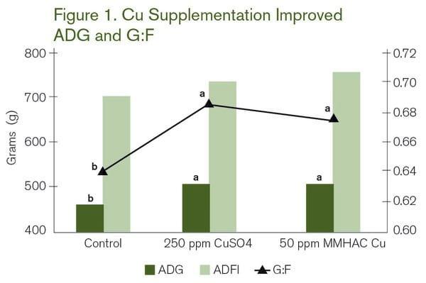 Copper is Essential for Piglet Performance - Image 1