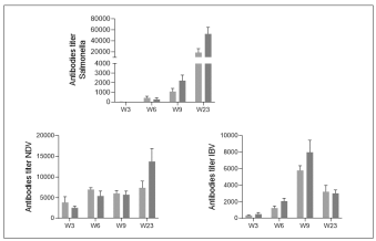 Figure 4 - Antigen specific immunoglobin quantification by ELISA.