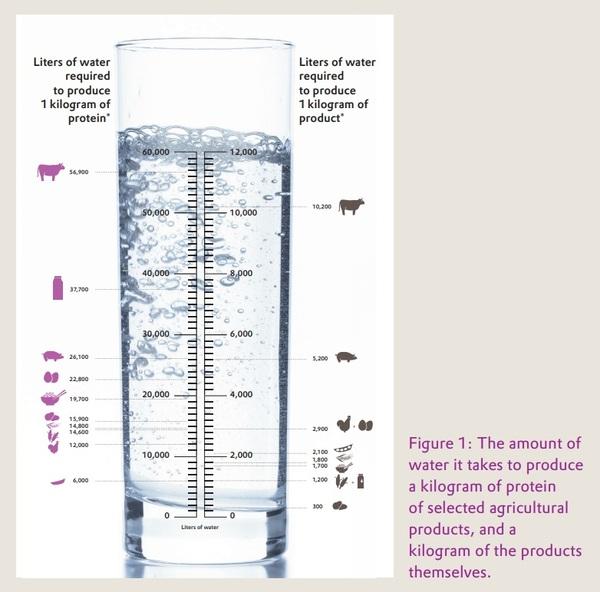 Protecting freshwater with amino-acid enriched animal feed - Image 1
