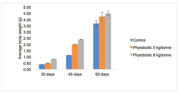 Natural remedies against vibriosis in shrimp culture - Liptosa - Image 3