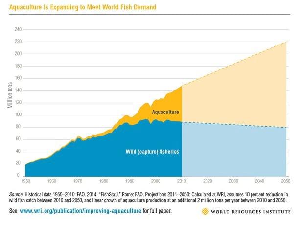 Sustainable Fish Farming: 5 Strategies to Get Aquaculture Growth Right - Image 1