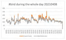 Figure 3: The number of birds observed in different periods (indoor).