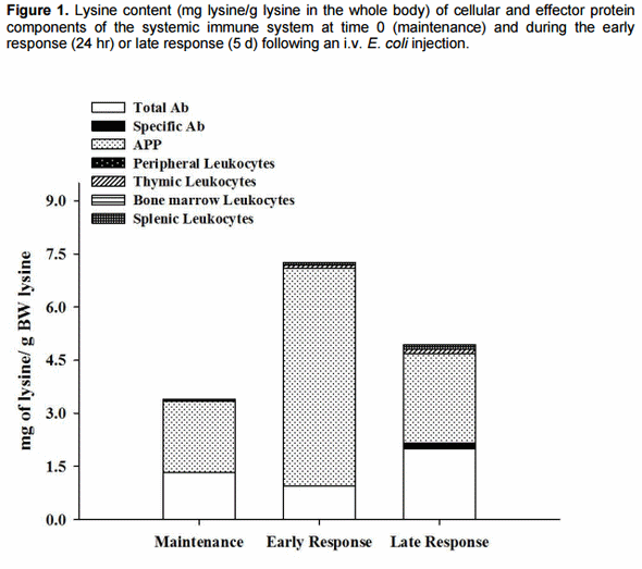 Relationships between immunity and nutrition in birds - Image 3