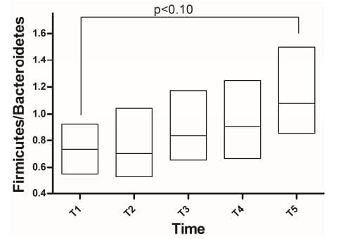 Silvafeed® Tannins Role in Rumen Microbiota Modulation - Image 2