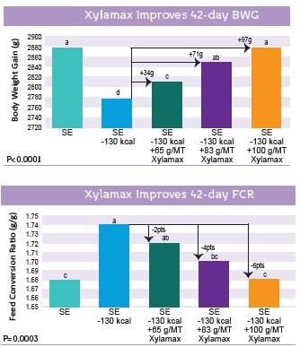 The efficacy of Xylamax in commercial broiler performance. - Image 1