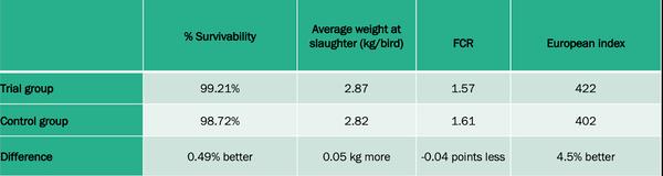 DigestoCid© boosts productivity and improves gut flora composition in caged broilers - Image 2